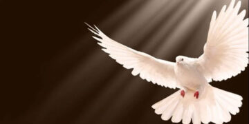 Francisco: “Los carismas son dones del Espíritu para la unidad y el servicio”