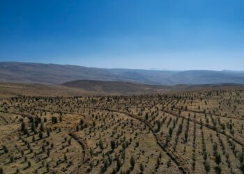Documental sobre la recuperación de suelos en Calioc y Chacrapuquio en la región Junín