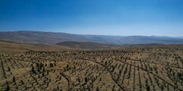 Documental sobre la recuperación de suelos en Calioc y Chacrapuquio en la región Junín