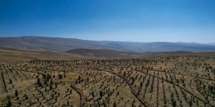 Documental sobre la recuperación de suelos en Calioc y Chacrapuquio en la región Junín