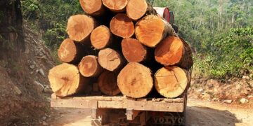 El impacto de las economías ilegales en Perú alcanza niveles alarmantes