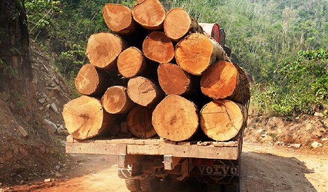 El impacto de las economías ilegales en Perú alcanza niveles alarmantes