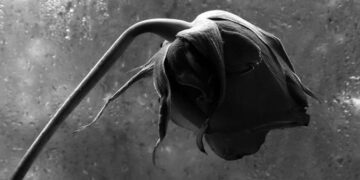 Las izquierdas, entre la agonía y la desesperación del odio