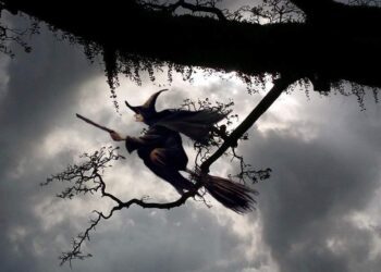 ¿Oposición? ¿Dónde? Ausentes de todo, carentes de mensaje, nula representatividad