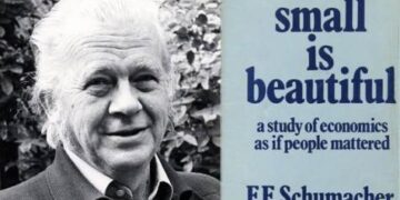 Lo pequeño es hermoso: Un mapa para orientarse en la vida