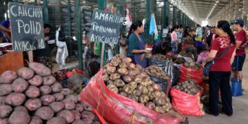 INEI: Precios al consumidor a nivel nacional disminuyeron en 0,04%