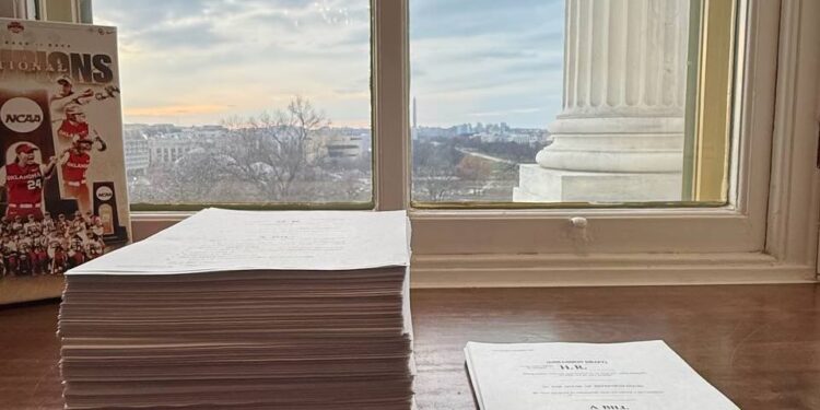 El Departamento de Eficiencia Gubernamental: el “DOGE” de Trump