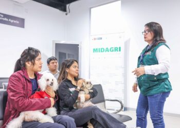 ¿Viajas con tu mascota? Atención con el trámite del certificado sanitario