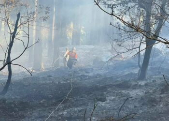 La percepción errada -de una posición deshonesta y anti democrática- no puede seguir existiendo