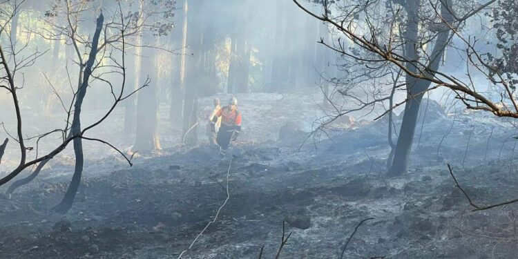 La percepción errada -de una posición deshonesta y anti democrática- no puede seguir existiendo
