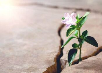 La esperanza no es una palabra vacía, ni un deseo vago de que las cosas salgan bien