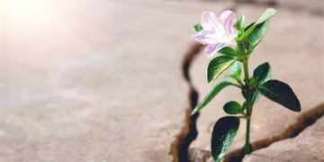 La esperanza no es una palabra vacía, ni un deseo vago de que las cosas salgan bien