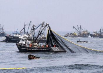 Esfuerzos de EE.UU. para combatir la pesca ilegal y los abusos laborales asociados