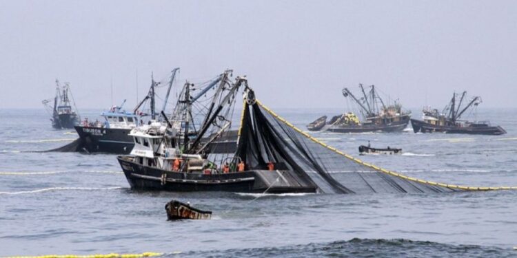Esfuerzos de EE.UU. para combatir la pesca ilegal y los abusos laborales asociados