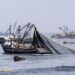 Esfuerzos de EE.UU. para combatir la pesca ilegal y los abusos laborales asociados