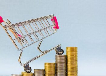 Precios al Consumidor de Lima Metropolitana subieron en noviembre de 2024