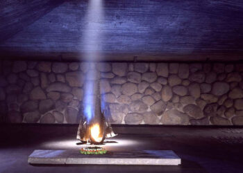 Para no perder la memoria: Día Internacional de Conmemoración del Holocausto