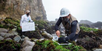 Playas afectadas por derrame de petróleo en Ventanilla presentan valores de hidrocarburos por encima del umbral