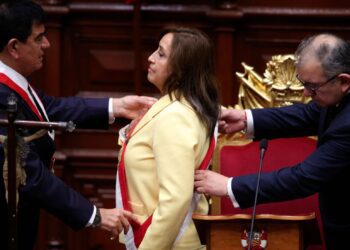 ¿La nariz, un selfie, la papada, banda gástrica… así se justificaría una vacancia presidencial?