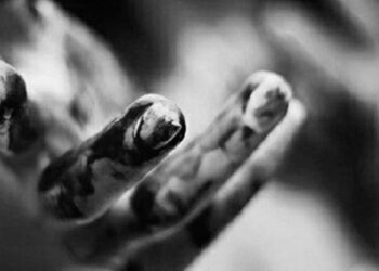 Las distribuidoras del odio desde las izquierdas: oenegés bandoleras