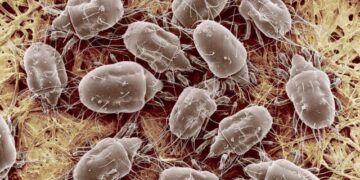 La era caviar, el tiempo de los ácaros ideológicos que se muestran inofensivos