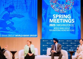 Lograr que el Fondo Monetario Internacional(FMI) vuelva a ser el Fondo Monetario Internacional (FMI)