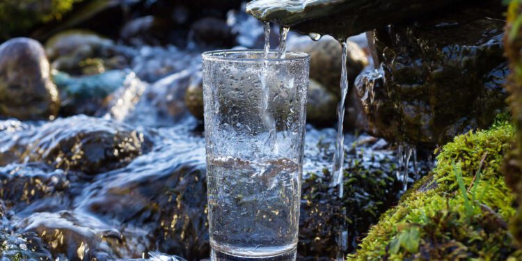 En la “Era Caviar”… convierte el agua estancada, en agua que fluye