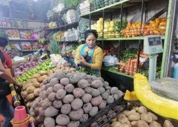 En marzo del 2025 los precios al consumidor de Lima Metropolitana subieron 0,81%