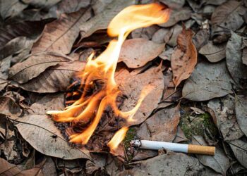 Hay que luchar contra la ira y el odio, no provocarlo