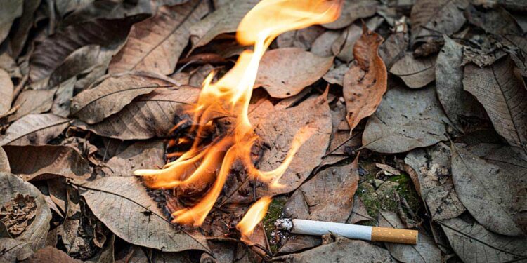 Hay que luchar contra la ira y el odio, no provocarlo