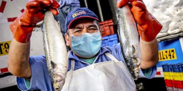 ¿Porqué aumentó la producción nacional 4,67% en marzo de 2025?