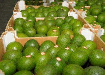 El volumen exportado de productos no tradicionales creció 35,4% en abril de 2025