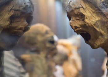 ¿Antauro Butters y Philip Humala? ¿Estamos buscando siempre que la paradoja se convierta en realidad?