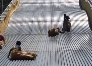 El tobogán de la miseria política en las izquierdas del odio