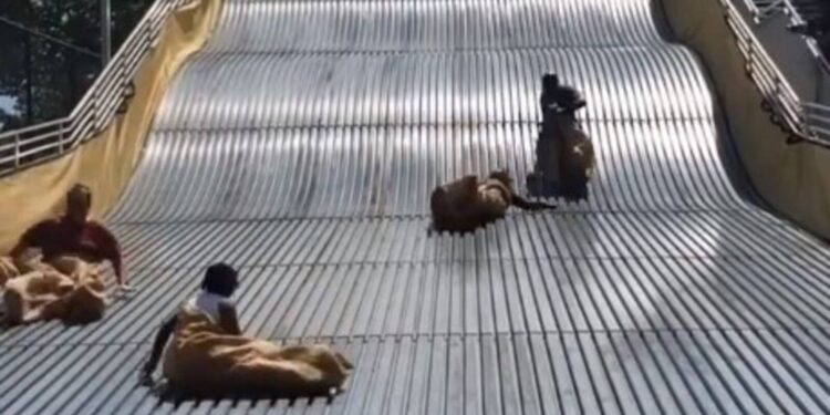 El tobogán de la miseria política en las izquierdas del odio