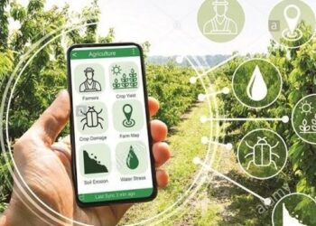 ¿Puede la digitalización acelerar la transición hacia una economía circular?