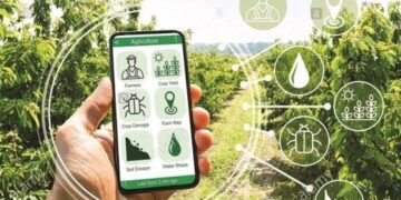 ¿Puede la digitalización acelerar la transición hacia una economía circular?