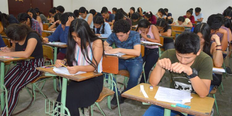 Sostenibilidad en las universidades: ¿cómo formar a los profesionales que el planeta necesita?