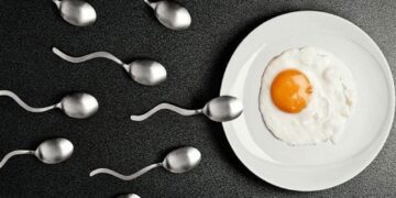 De los partidos políticos que nadie ha visto defender la Constitución, están saliendo “los cualquiera”