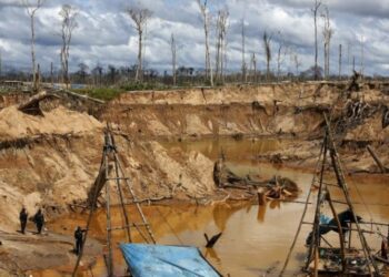 ComexPerú: Minería informal, crecimiento económico y expectativas