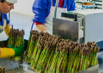 Producción nacional aumentó 4,52% en junio de 2025 y el primer semestre del presente año creció 3,33%