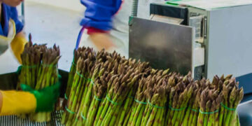 Producción nacional aumentó 4,52% en junio de 2025 y el primer semestre del presente año creció 3,33%