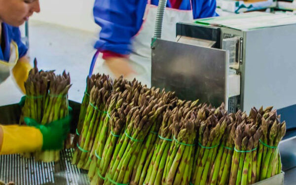 Producción nacional aumentó 4,52% en junio de 2025 y el primer semestre del presente año creció 3,33%