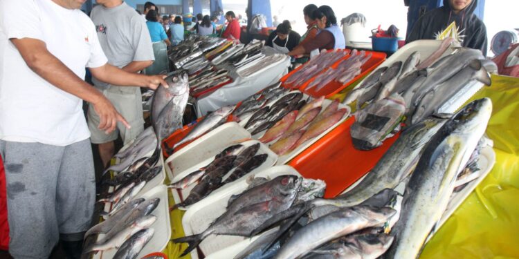 INEI: Precios al consumidor de Lima Metropolitana aumentaron 0,23% en julio de 2025