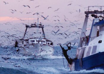 Pesca, fuente de vida, seguridad y prosperidad para las generaciones presentes y futuras