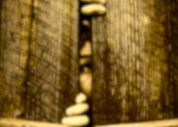 Y los “candidatos a presidente”…ni se les ve, ni hablan, ni opinan… ¿Están en qué clase de campaña?