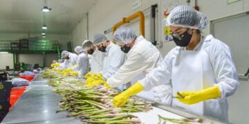 Perú: producción nacional aumentó 3,18% en agosto de 2025