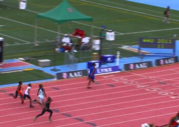 Elecciones 2026: adaptarse para resistir, resistir para llegar… llegar, ¿para qué?