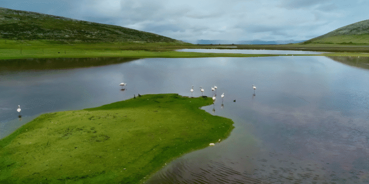 Cierre efectivo y sostenible: el modelo AMSAC en la remediación ambiental