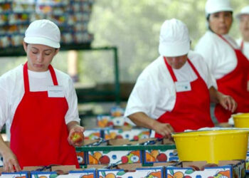 Chile: trabajadores del Estado se incrementaron en más del 56% desde el 2010